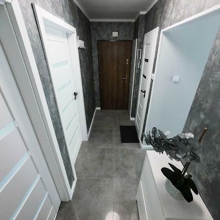 New Apartment - 300 M Town Hall - 3 Rooms - 7 People 弗罗茨瓦夫 外观 照片
