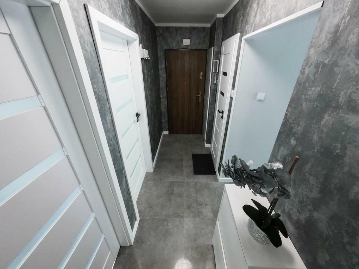 New Apartment - 300 M Town Hall - 3 Rooms - 7 People 弗罗茨瓦夫 外观 照片